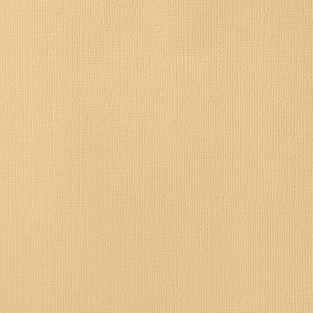 Seamless Sheer Fleece Lined Tights