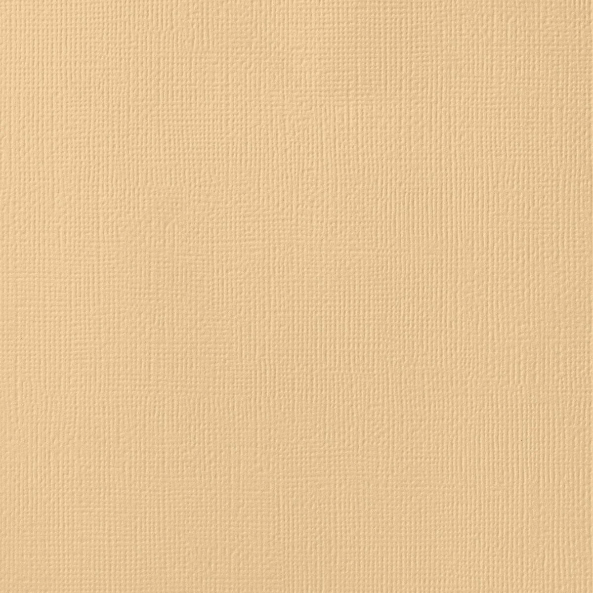 Seamless Sheer Fleece Lined Tights